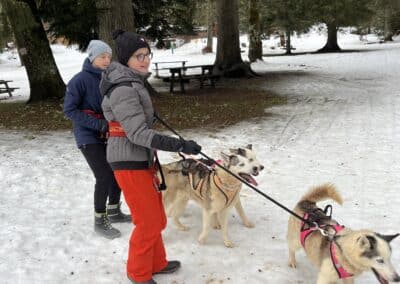 rando canine (3)